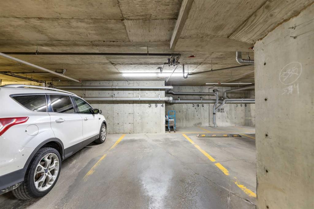 3204-1317 27 Street Se, Calgary, AB - Indoor Photo Showing Garage