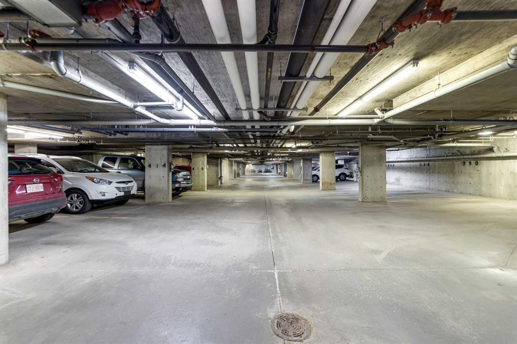3204-1317 27 Street Se, Calgary, AB - Indoor Photo Showing Garage