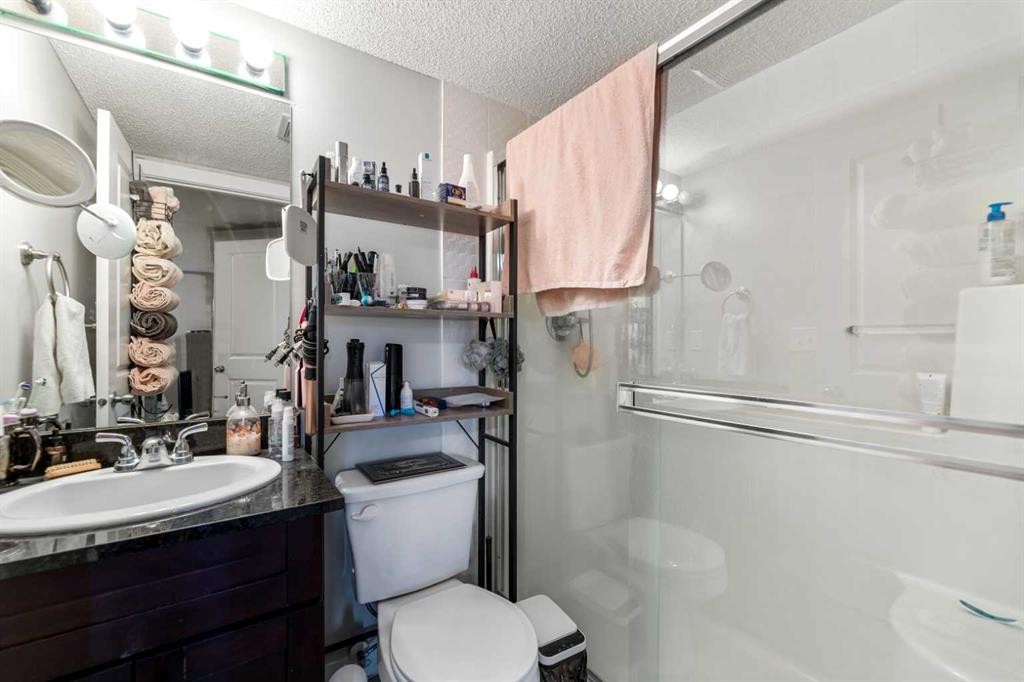 3204-1317 27 Street Se, Calgary, AB - Indoor Photo Showing Bathroom