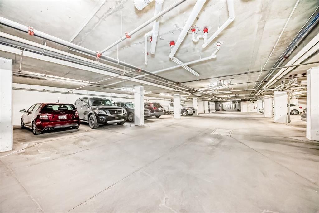 209-1000 Applevillage Court Se, Calgary, AB - Indoor Photo Showing Garage