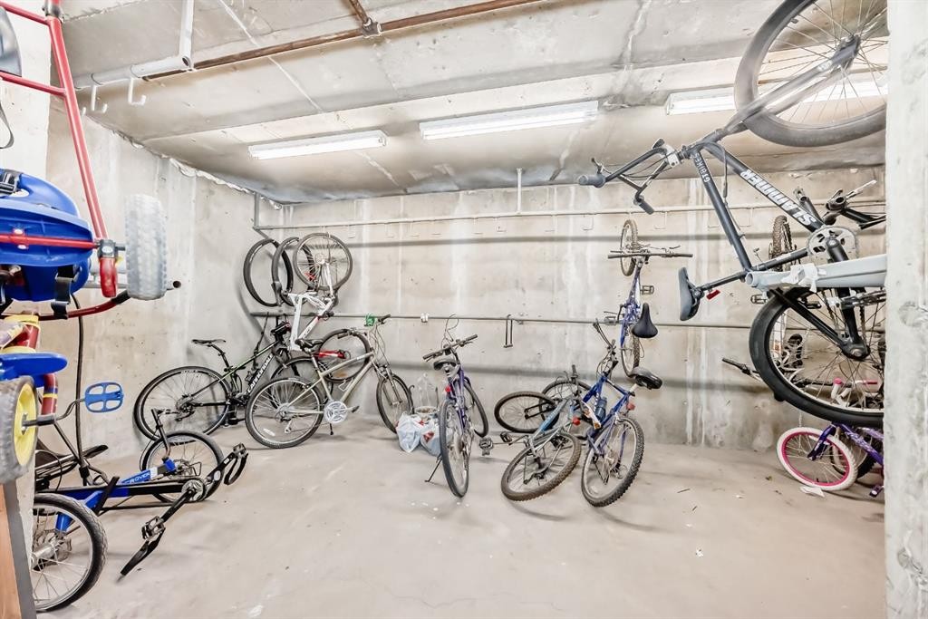 209-1000 Applevillage Court Se, Calgary, AB - Indoor Photo Showing Garage