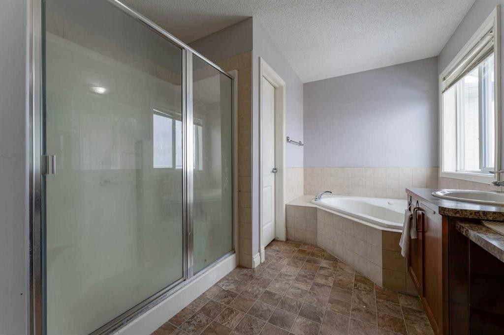 236 Willowmere Way, Chestermere, AB - Indoor Photo Showing Bathroom