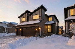 343 Waterford Grove Chestermere, AB T1X 2Z9