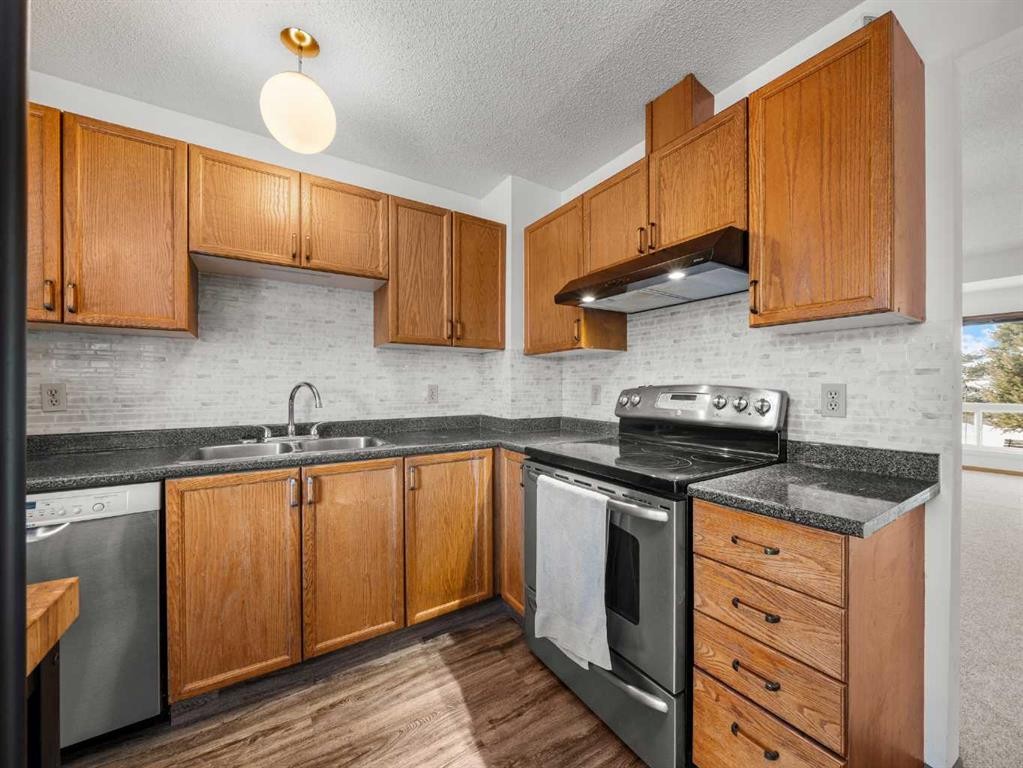 10 Martinbrook Road Ne, Calgary, AB - Indoor Photo Showing Kitchen With Double Sink