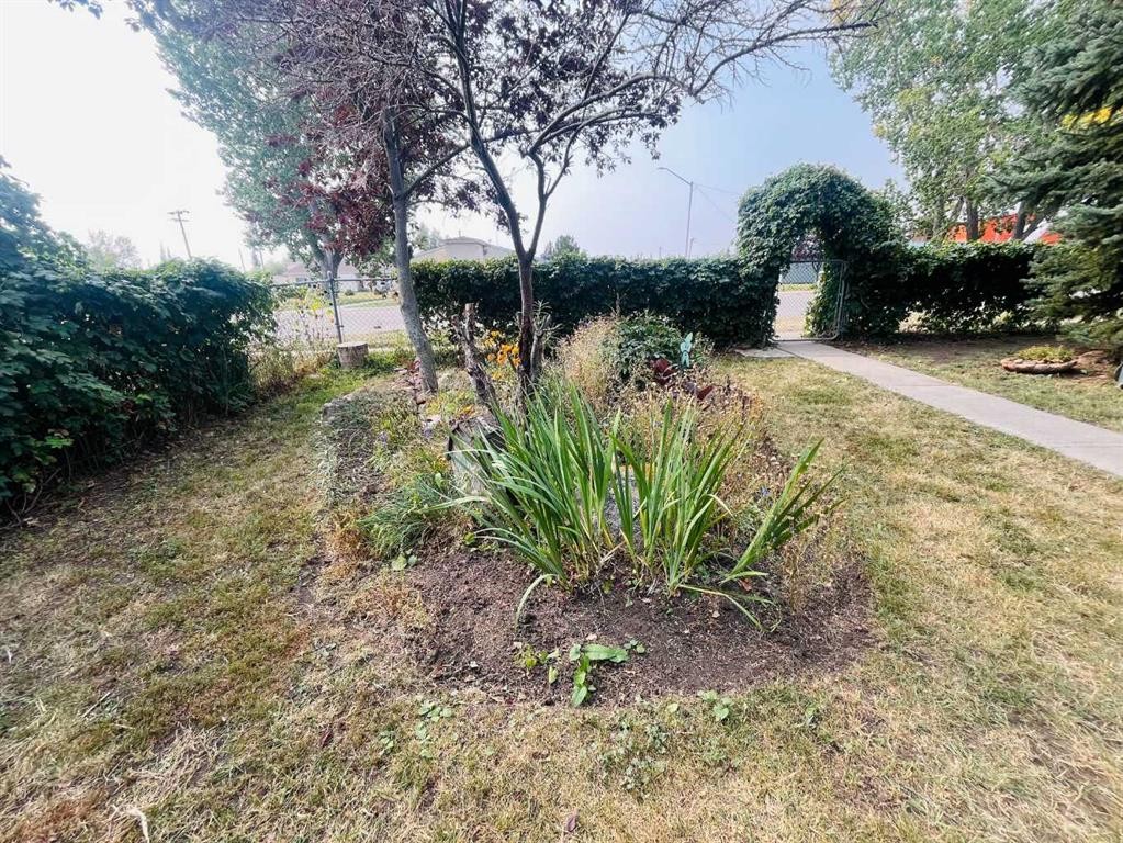112 Allison Street, Acme, AB - Outdoor With View