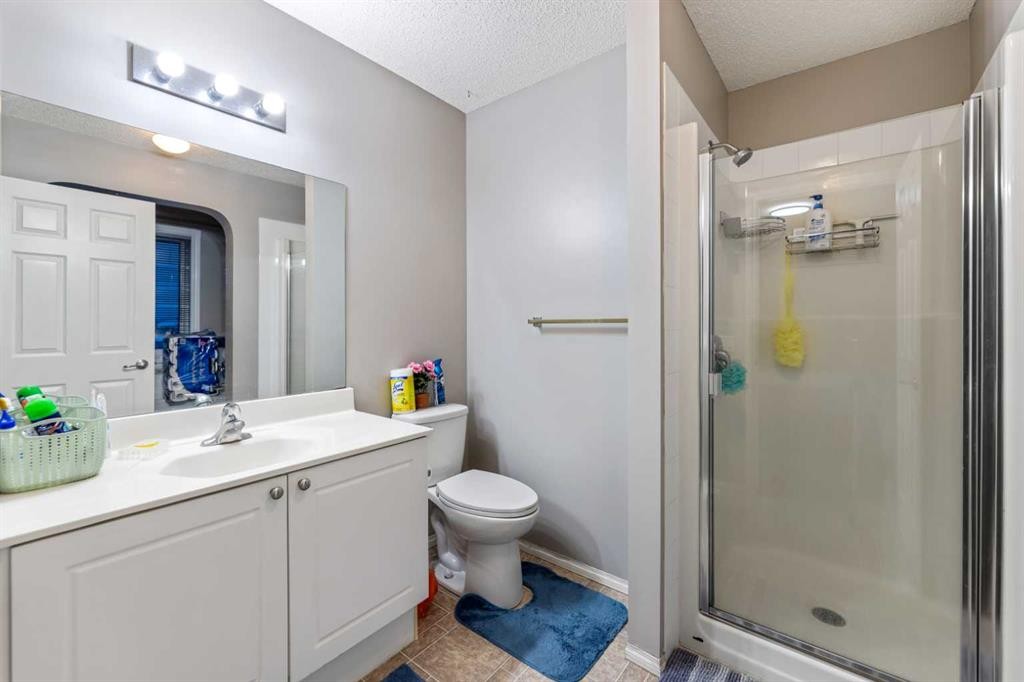 57 Saddlemead Road Ne, Calgary, AB - Indoor Photo Showing Bathroom