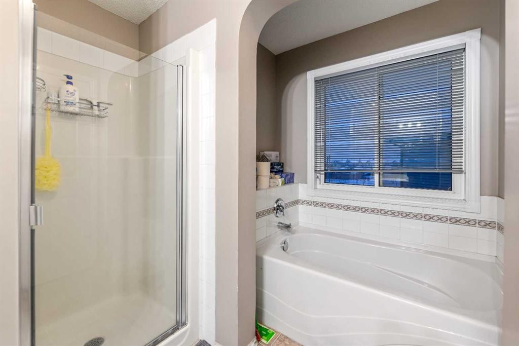 57 Saddlemead Road Ne, Calgary, AB - Indoor Photo Showing Bathroom