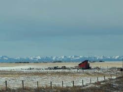 272079 Highway 547 Rural Foothills County, AB T0L 0J0