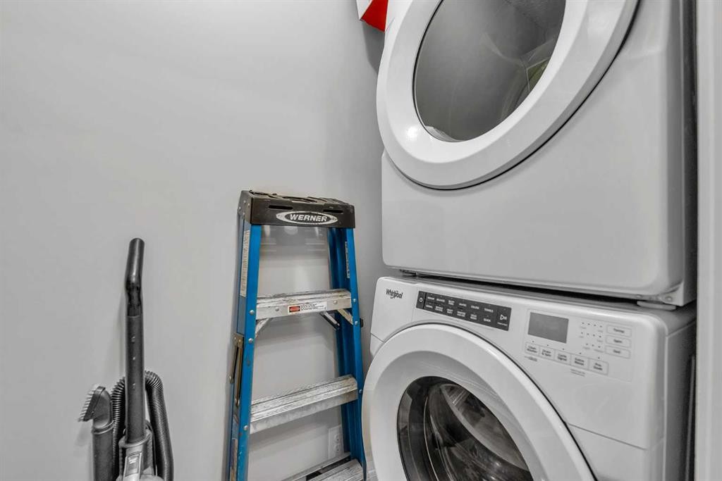 1613-4641 128 Avenue Ne, Calgary, AB - Indoor Photo Showing Laundry Room
