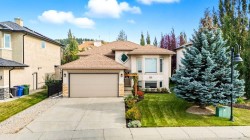 224 Sunterra Ridge Place Cochrane, AB T4C 1W9