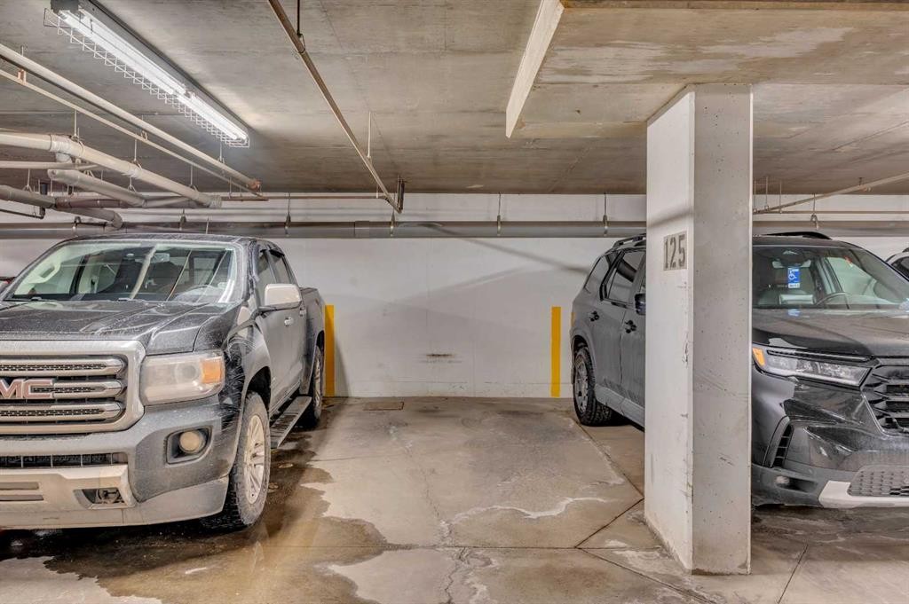222-428 Chaparral Ravine View Se, Calgary, AB - Indoor Photo Showing Garage