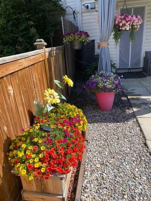 155 Citadel Drive Nw, Calgary, AB - Outdoor