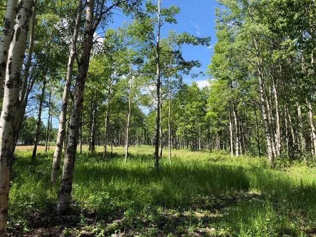 Range Rd 55 - Forestry Trunk Rd (Se 30-26-5-5), Rural Rocky View County, AB