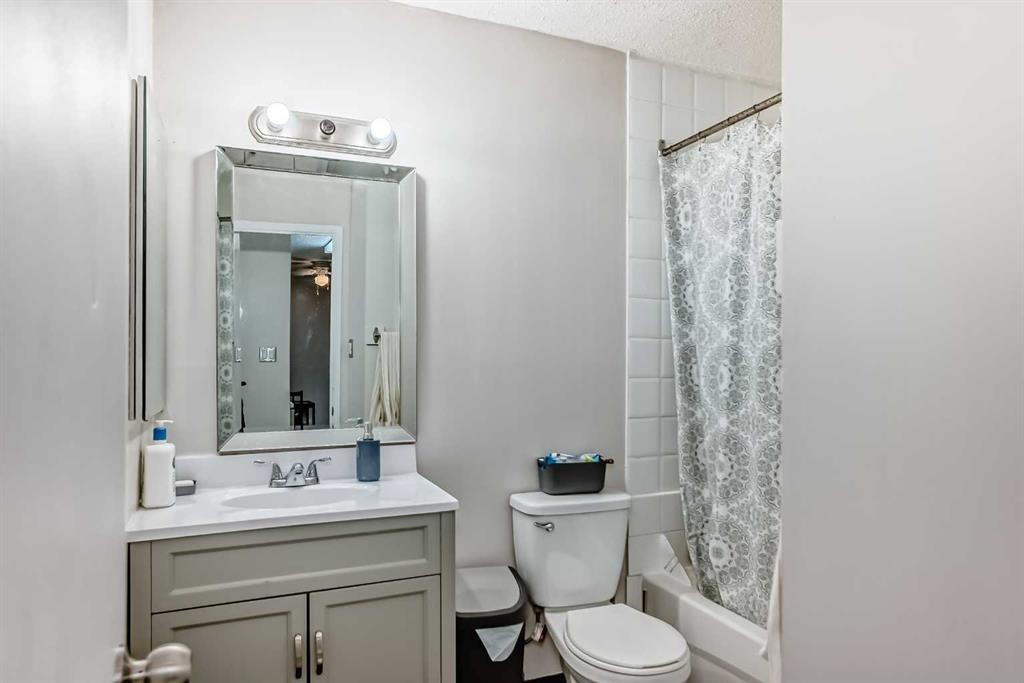 303-4328 4 Street Nw, Calgary, AB - Indoor Photo Showing Bathroom