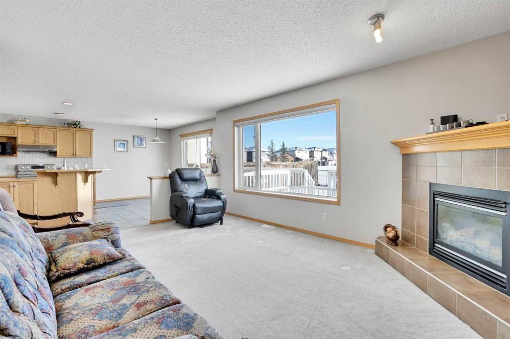 109 Taralea Green Ne, Calgary, AB - Indoor Photo Showing Living Room With Fireplace