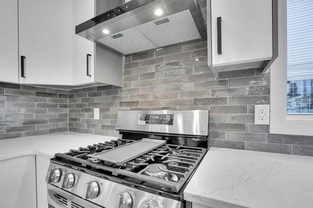55 Coral Springs Close Ne, Calgary, AB - Indoor Photo Showing Kitchen With Upgraded Kitchen