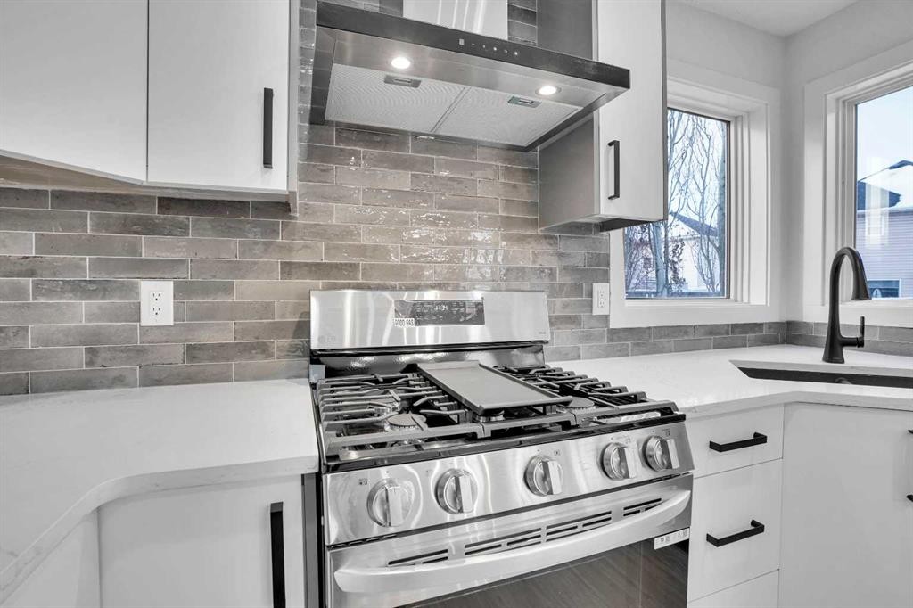 55 Coral Springs Close Ne, Calgary, AB - Indoor Photo Showing Kitchen With Upgraded Kitchen