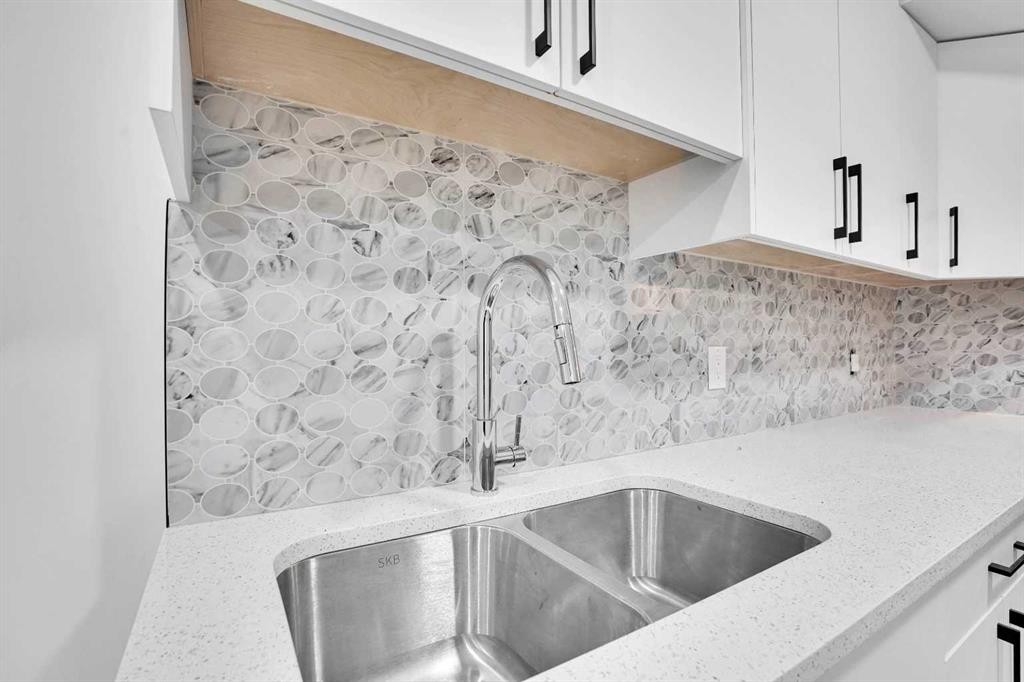 55 Coral Springs Close Ne, Calgary, AB - Indoor Photo Showing Kitchen With Double Sink