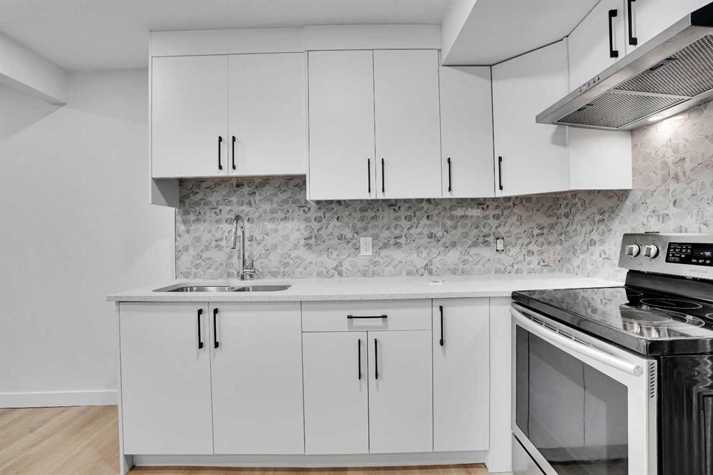 55 Coral Springs Close Ne, Calgary, AB - Indoor Photo Showing Kitchen With Double Sink With Upgraded Kitchen