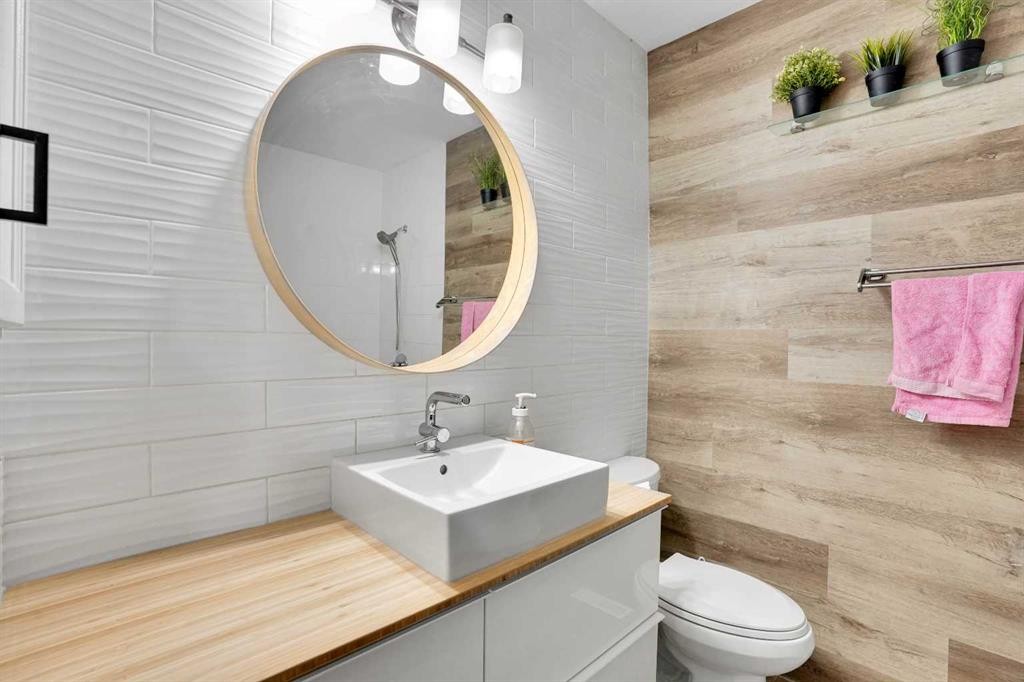 315 Templewood Place Ne, Calgary, AB - Indoor Photo Showing Bathroom