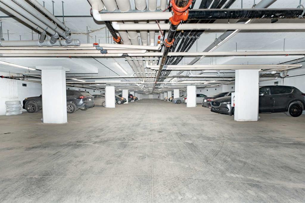 2104-6118 80 Avenue Ne, Calgary, AB - Indoor Photo Showing Garage