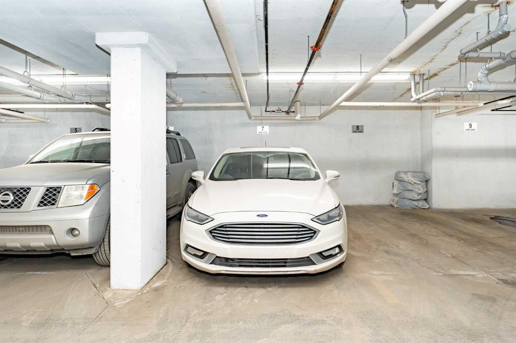2104-6118 80 Avenue Ne, Calgary, AB - Indoor Photo Showing Garage