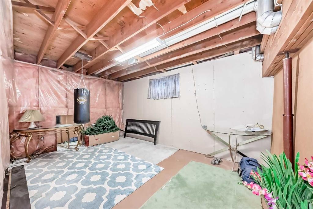 19 Mchugh Place Ne, Calgary, AB - Indoor Photo Showing Basement