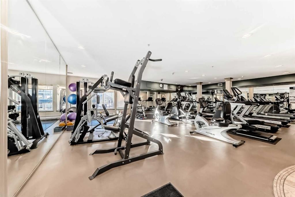 213-10 Discovery Ridge Close Sw, Calgary, AB - Indoor Photo Showing Gym Room