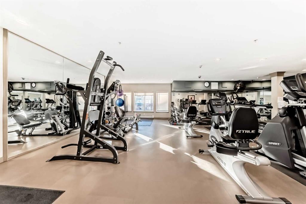 213-10 Discovery Ridge Close Sw, Calgary, AB - Indoor Photo Showing Gym Room