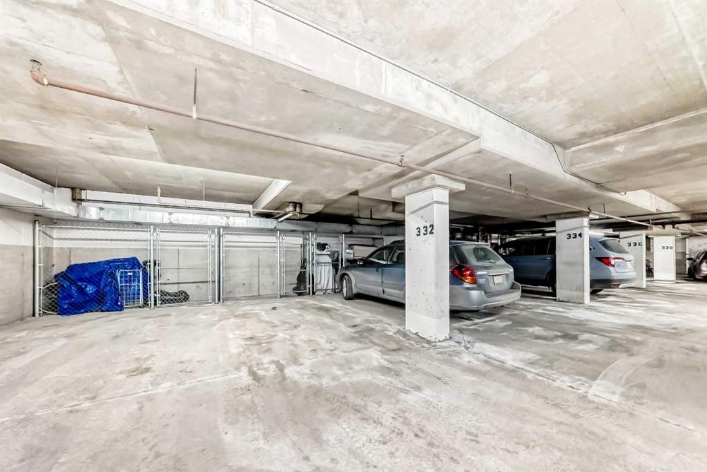 213-10 Discovery Ridge Close Sw, Calgary, AB - Indoor Photo Showing Garage