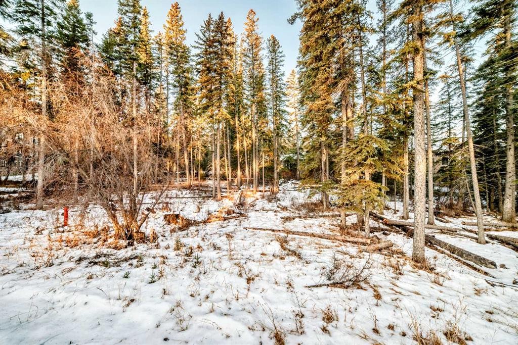 213-10 Discovery Ridge Close Sw, Calgary, AB - Outdoor With View