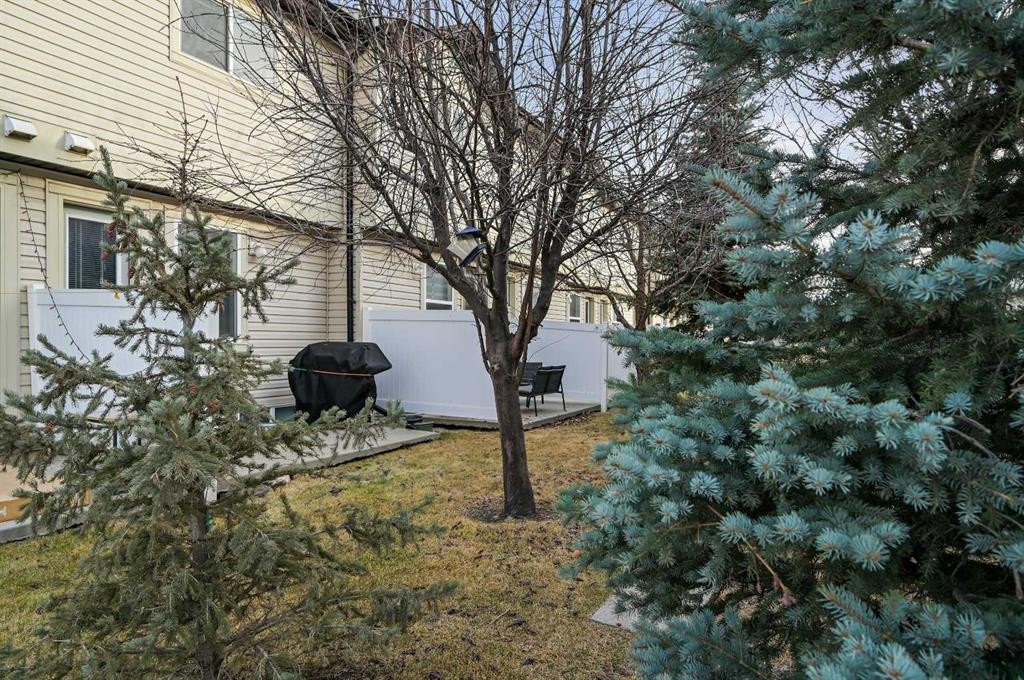 165 Saddlebrook Point Ne, Calgary, AB - Outdoor