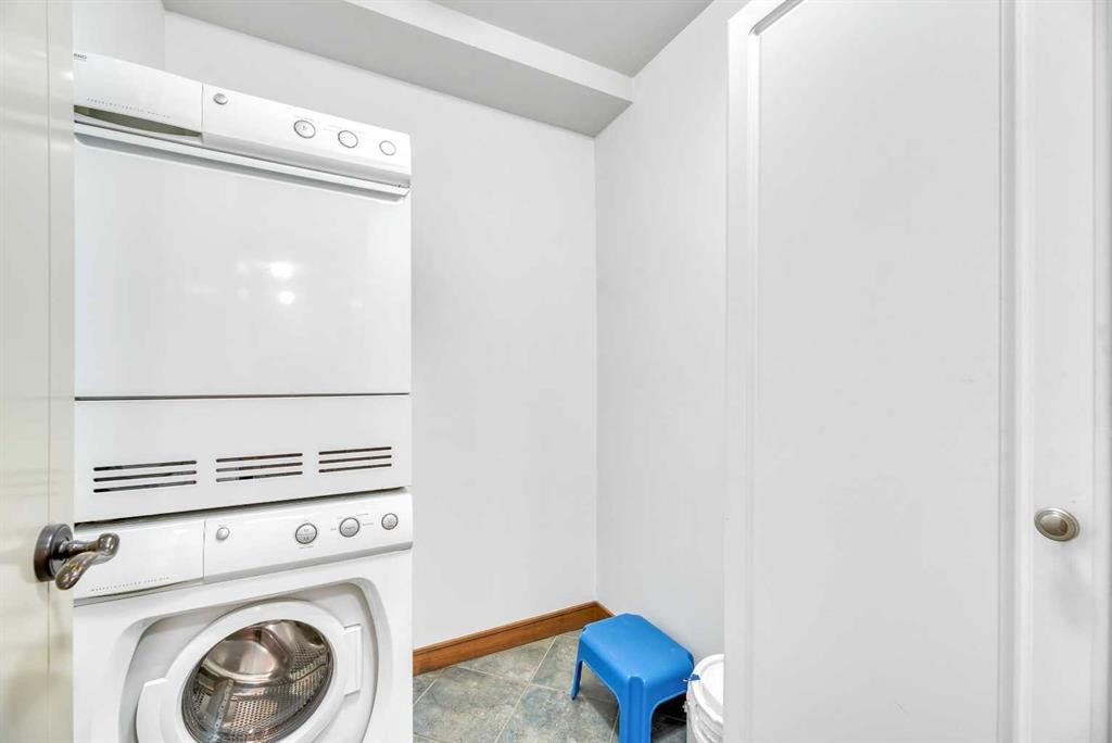 209-315 50 Avenue Sw, Calgary, AB - Indoor Photo Showing Laundry Room
