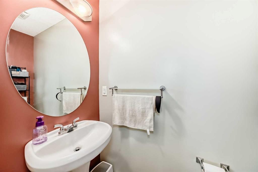 244 Saddlebrook Point Ne, Calgary, AB - Indoor Photo Showing Bathroom