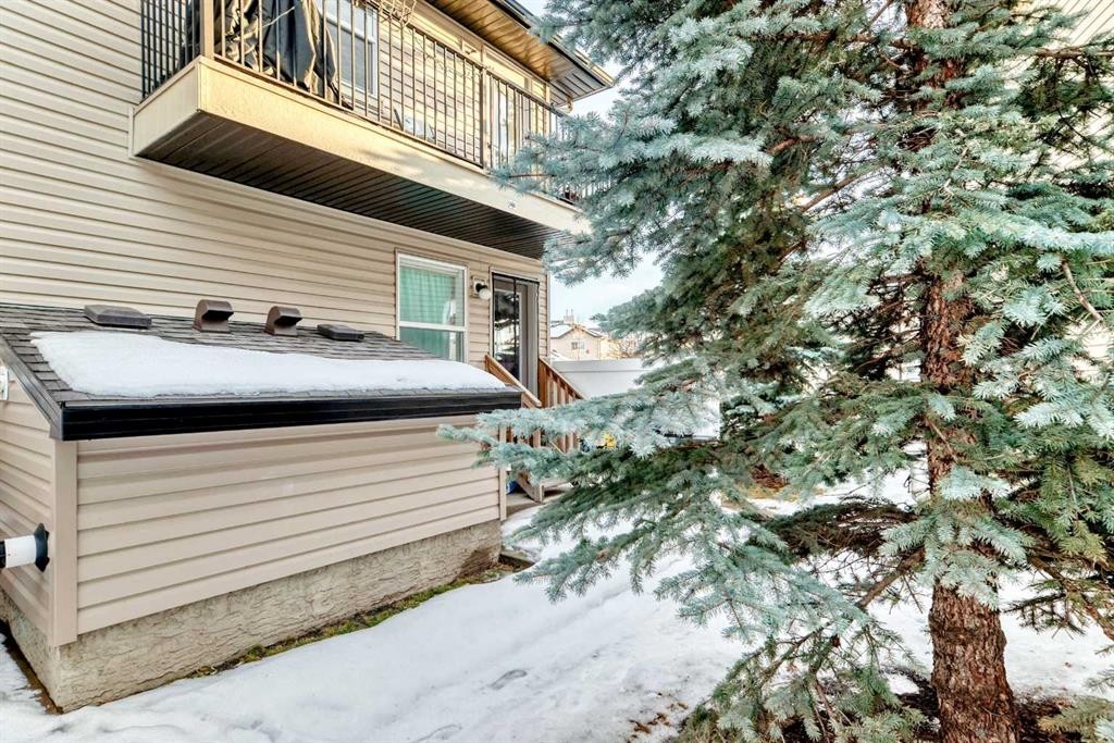 244 Saddlebrook Point Ne, Calgary, AB - Outdoor