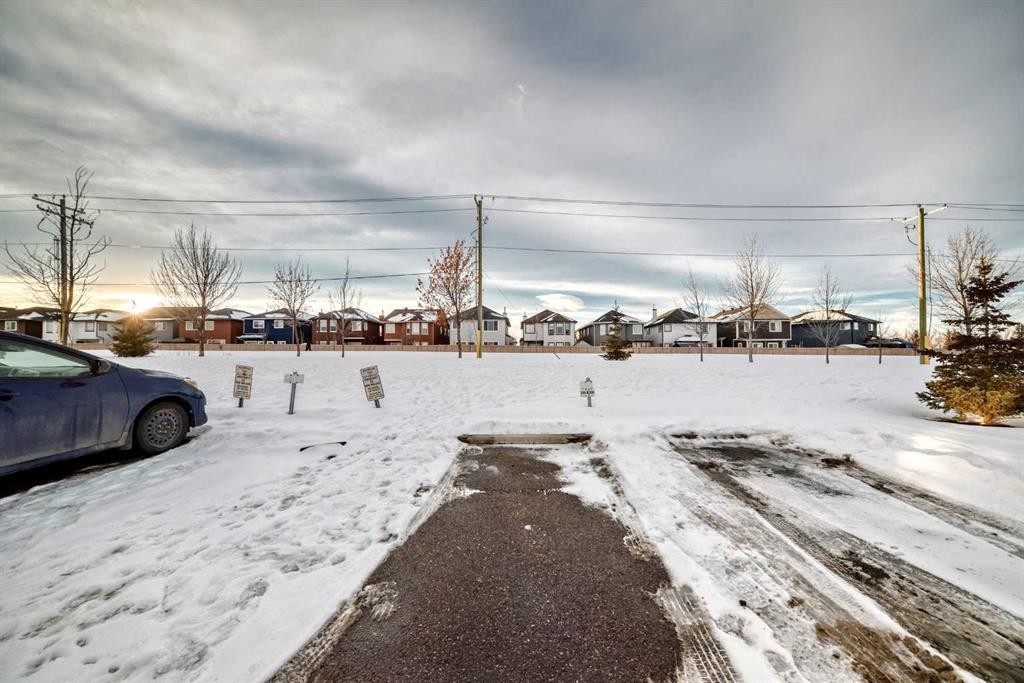 244 Saddlebrook Point Ne, Calgary, AB - Outdoor