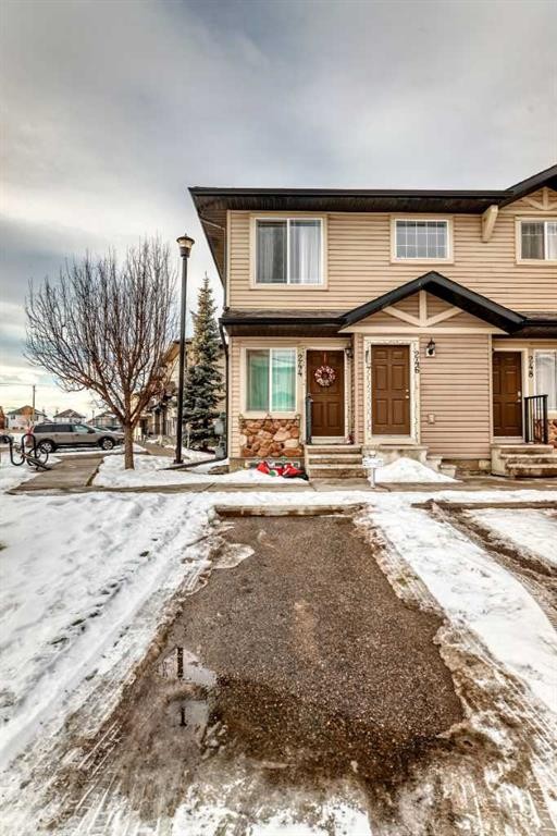 244 Saddlebrook Point Ne, Calgary, AB - Outdoor