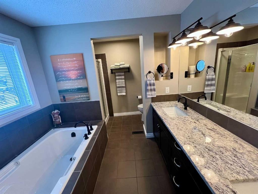2117 Reunion Boulevard Nw, Airdrie, AB - Indoor Photo Showing Bathroom