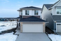 739 Langley Terrace SE Airdrie, AB T4A 3R1