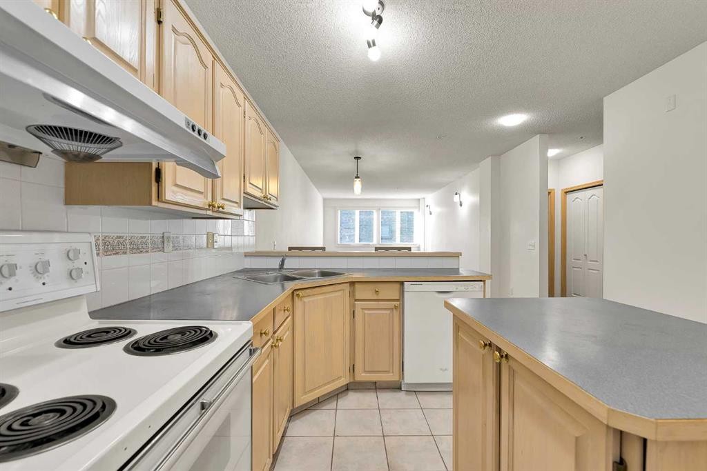 210-103 10 Avenue Nw, Calgary, AB - Indoor Photo Showing Kitchen With Double Sink