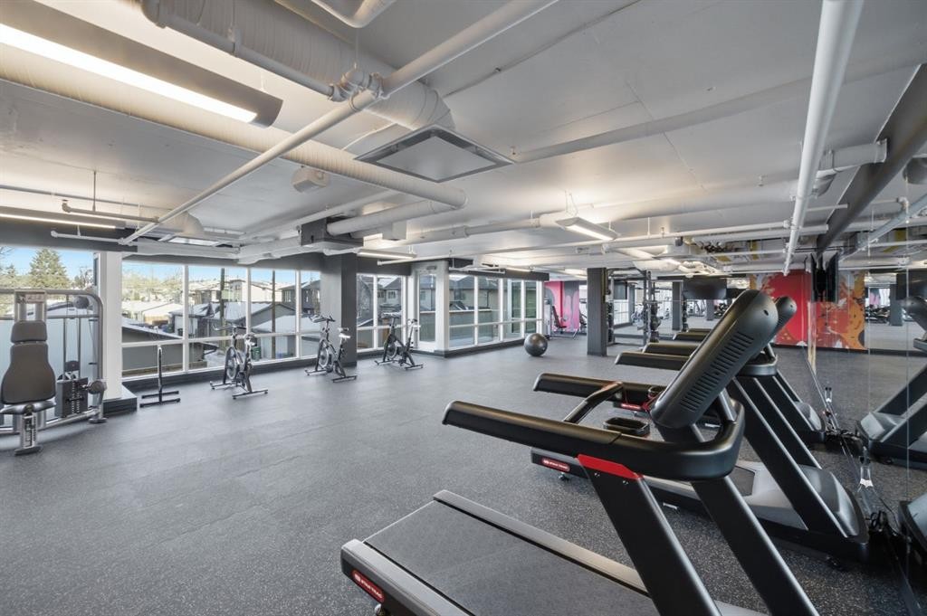 740-110 18A Street Nw, Calgary, AB - Indoor Photo Showing Gym Room