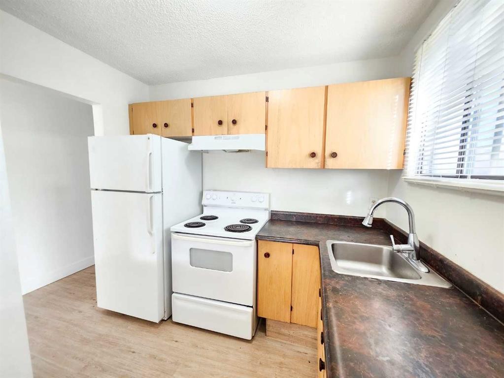 423 3 Avenue Ne, Calgary, AB - Indoor Photo Showing Kitchen