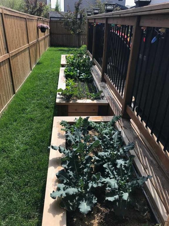 562 New Brighton Drive Se, Calgary, AB - Outdoor