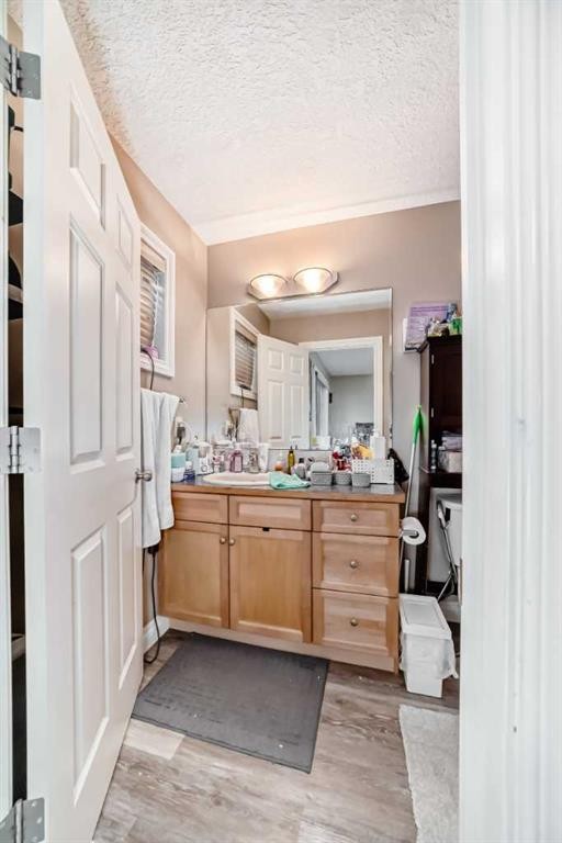 14 Dover Mews Se, Calgary, AB - Indoor Photo Showing Bathroom