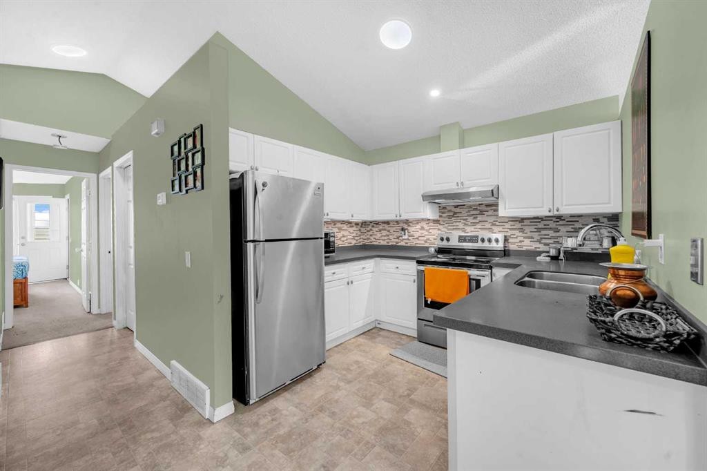 48 Martin Crossing Court Ne, Calgary, AB - Indoor Photo Showing Kitchen With Double Sink With Upgraded Kitchen