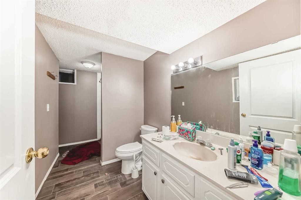 6944 Temple Drive Ne, Calgary, AB - Indoor Photo Showing Bathroom