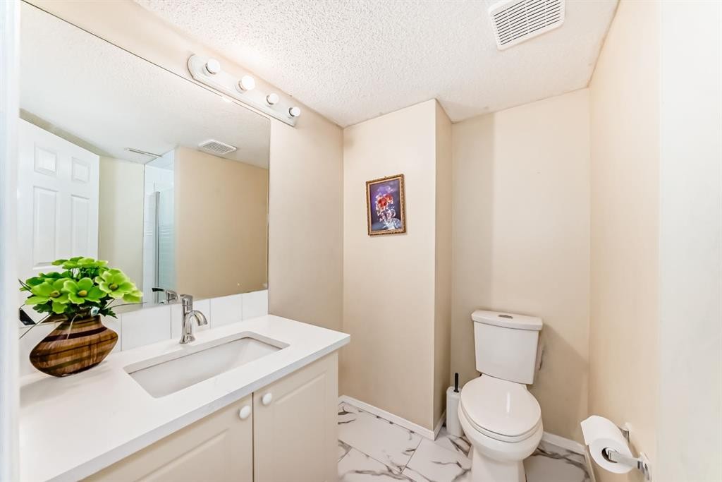 158 Somervale Close Sw, Calgary, AB - Indoor Photo Showing Bathroom