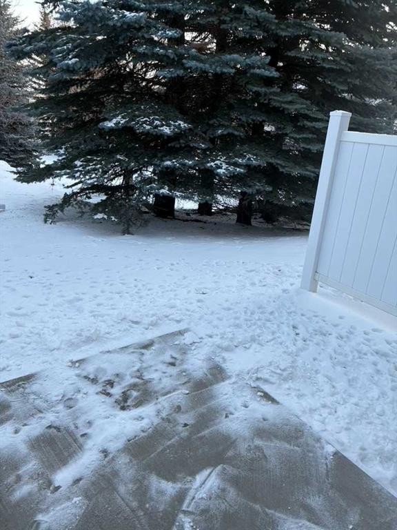 147 Somervale Park Sw, Calgary, AB - Outdoor