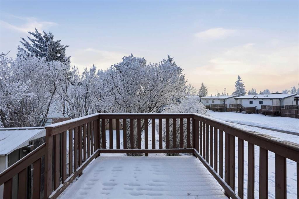 107 Pinemont Bay Ne, Calgary, AB - Outdoor