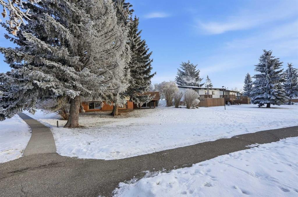 107 Pinemont Bay Ne, Calgary, AB - Outdoor